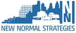 New Normal Strategies